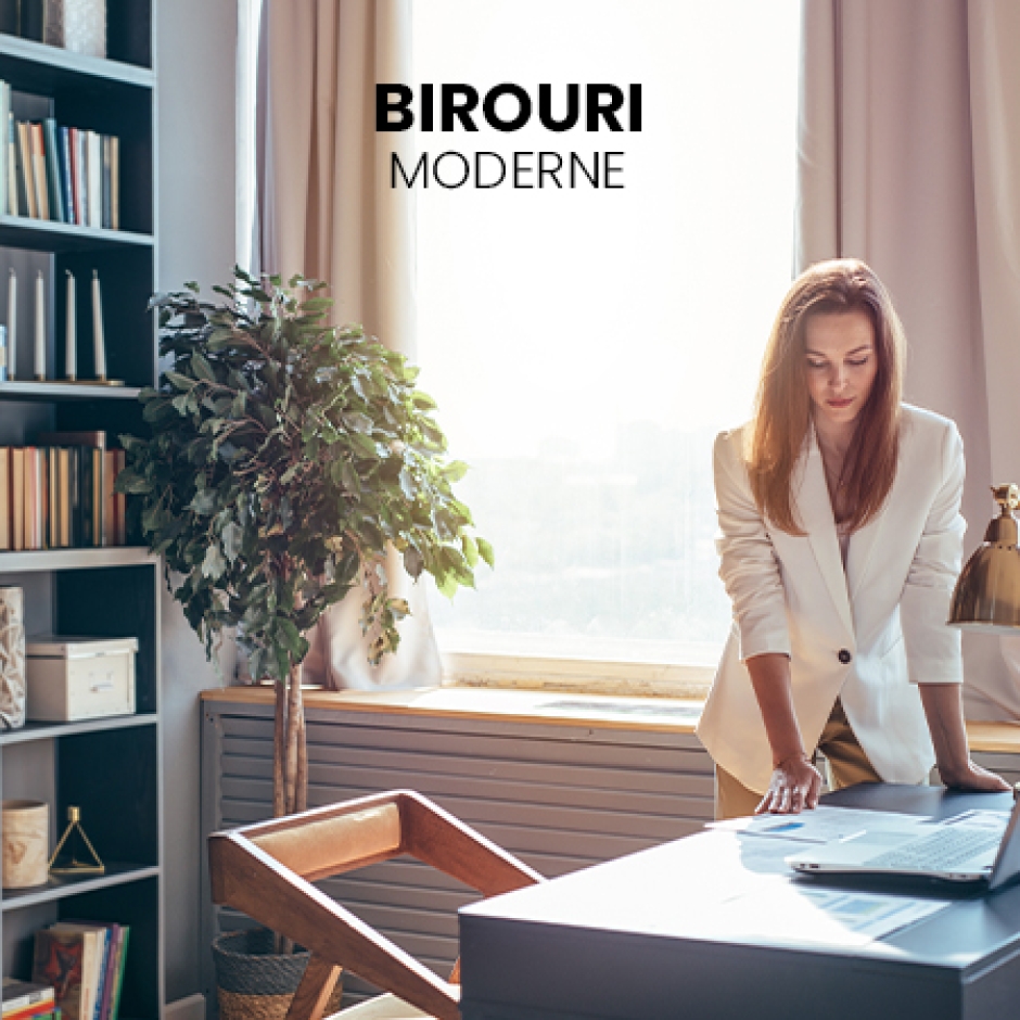 BIROURI MODERNE