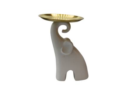 Elefant alb cu tava aurie 